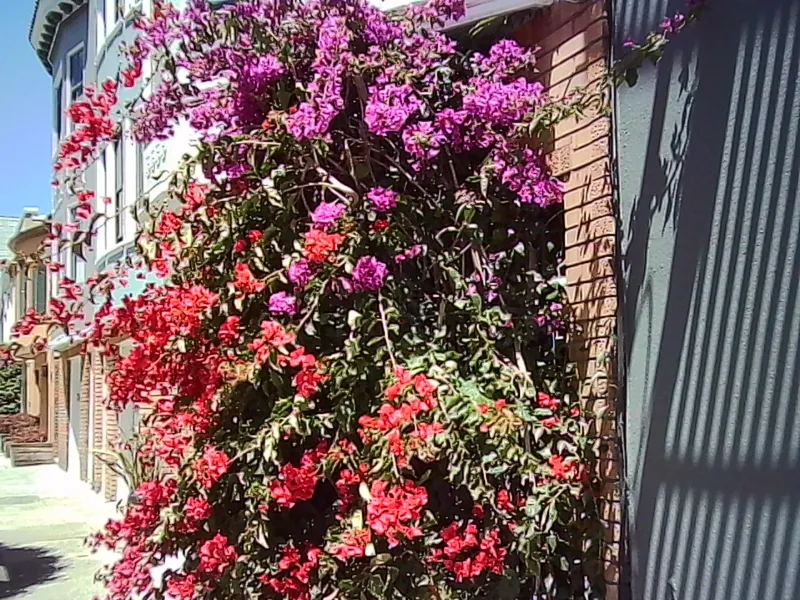 PICT0025.jpg