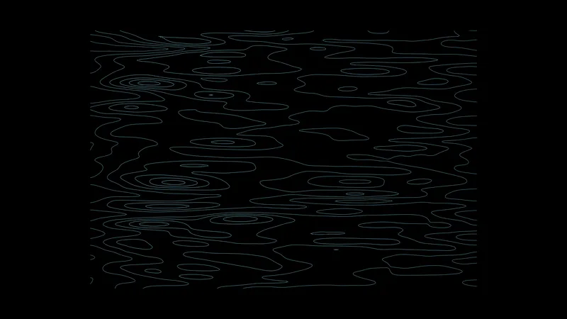 CP 1919, contours